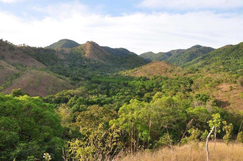 Busuanga Island Paradise Ngoại thất bức ảnh